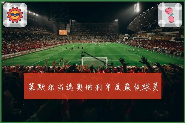 莱默尔当选奥地利年度最佳球员