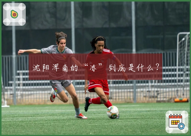 沈阳浑南的“冻”到底是什么？